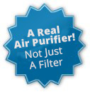 A real air purifier, not just a filter
